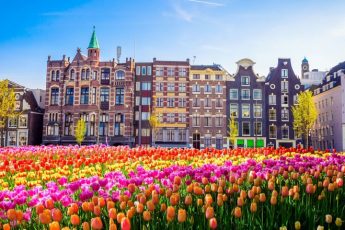 Kan man drikke vann fra springen i Amsterdam?